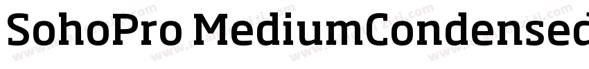 SohoPro MediumCondensed字体转换